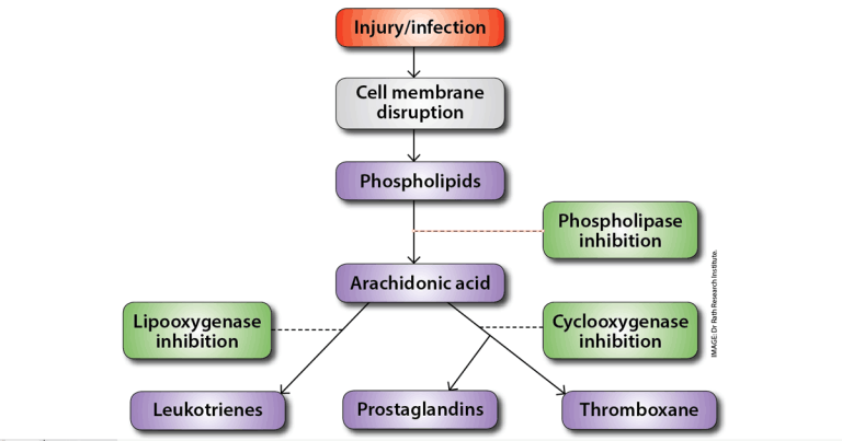 Benefits and limitations of using NSAIDs in equine care