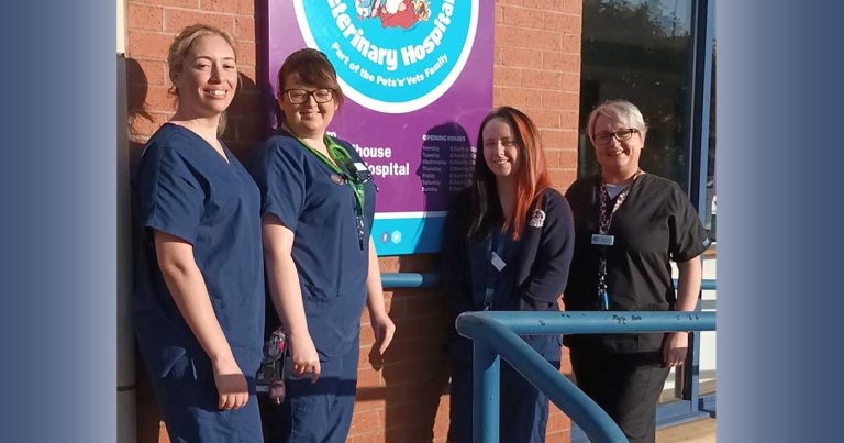 Pets’n’Vets implements ‘innovative’ nursing team restructure