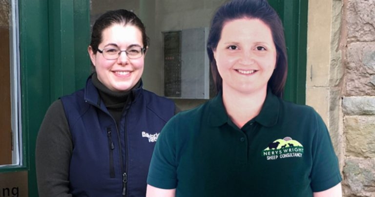 Vet Times Extra: Evolving challenge of managing sheep worms, with Davinia Hinde and Nerys Wright