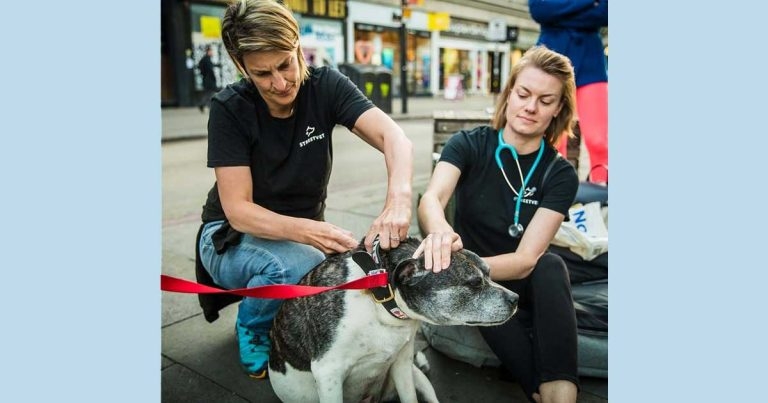 Partnership to support homeless pet owners