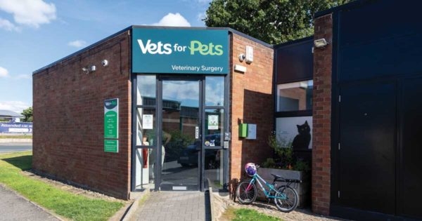 Practice Profile: Harrogate Vets for Pets