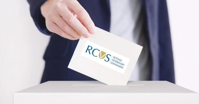 Record numbers to stand in RCVS elections