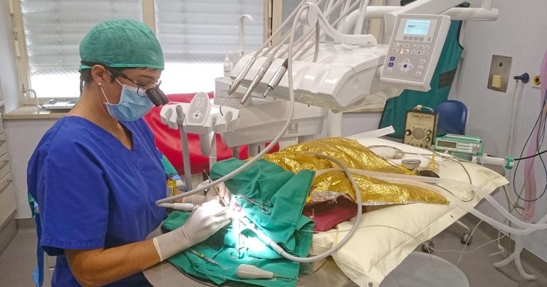 Dentistry home care: what should I recommend?