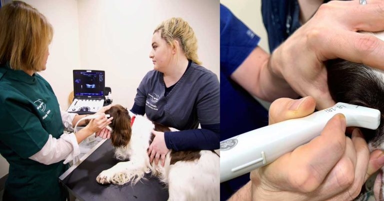 Ocular ultrasonography – part 1