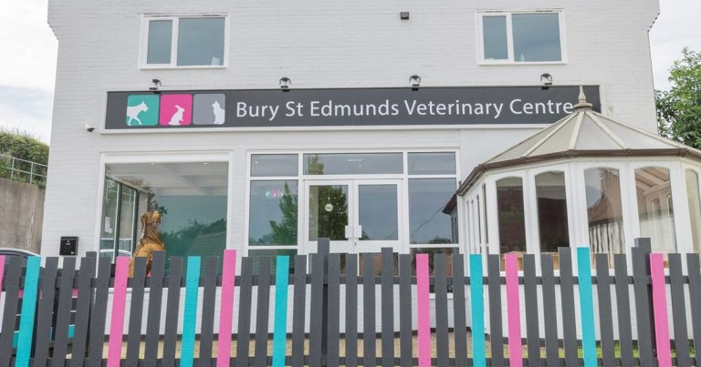 Practice Profile: Bury St Edmunds Veterinary Centre