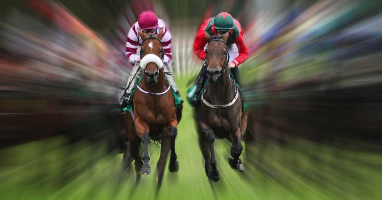 Horse bone fractures: study identifies 100 key genes