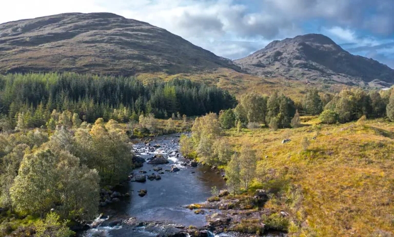 Review could limit flea and tick treatment sale points